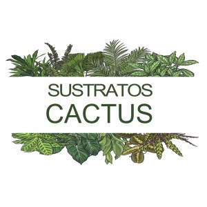 Comercio do Morrazo - sustrato cactus 3 l