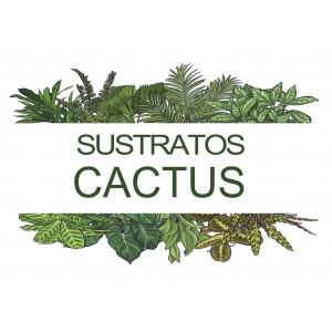 Comercio do Morrazo - sustrato cactus 2,5 l