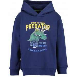 Comercio do Morrazo - SUDADERA PREDATOR INFANTIL...