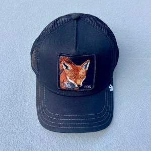 Comercio do Morrazo - GOORIN BROS GORRA THE FOX