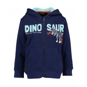 Comercio do Morrazo - SUDADERA DINOSAUR INFANTIL...