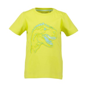 Comercio do Morrazo - CAMISETA DINO ENGOMADA INF...