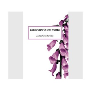 Comercio do Morrazo - Apiario: Cartografía dos nomes