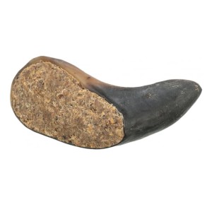 Comercio do Morrazo - CUERNO DE BÚFALO