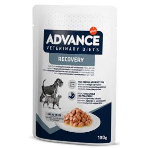 Comercio do Morrazo - RECOVERY DE ADVANCE