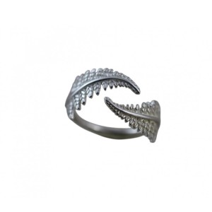 Comercio do Morrazo - Anillo Fento