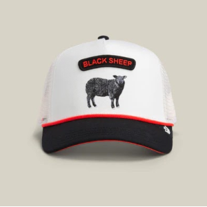 Comercio do Morrazo - GOORIN BROS GORRA TRUCKER...