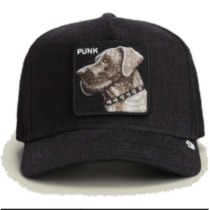 Comercio do Morrazo - GOORIN BROS GORRA PUNK DAWG