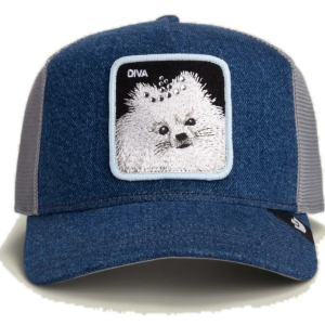 Comercio do Morrazo - GOORIN BROS GORRA DIVA DAWG