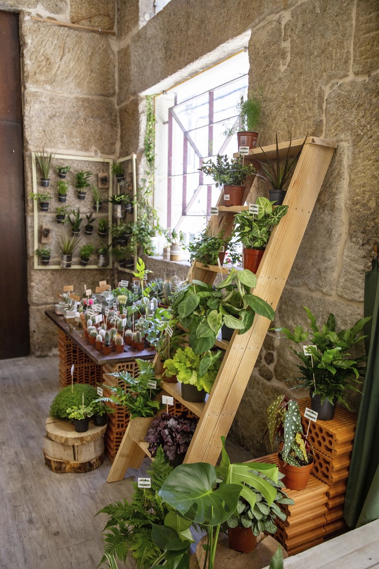 LA CASA DE LAS PLANTAS