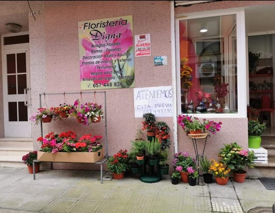 FLORISTERÍA DIGNA