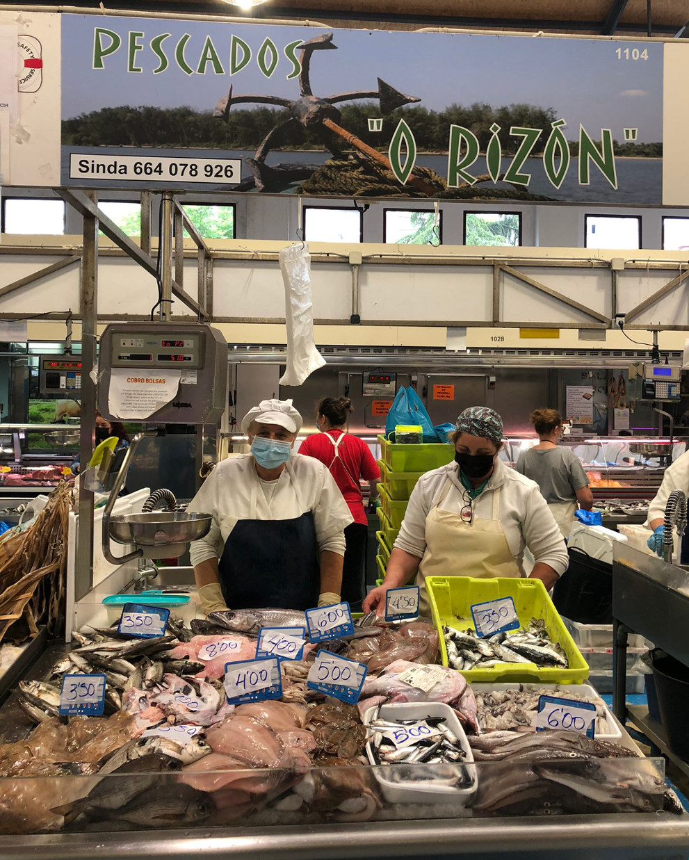 Pescados O Rizón