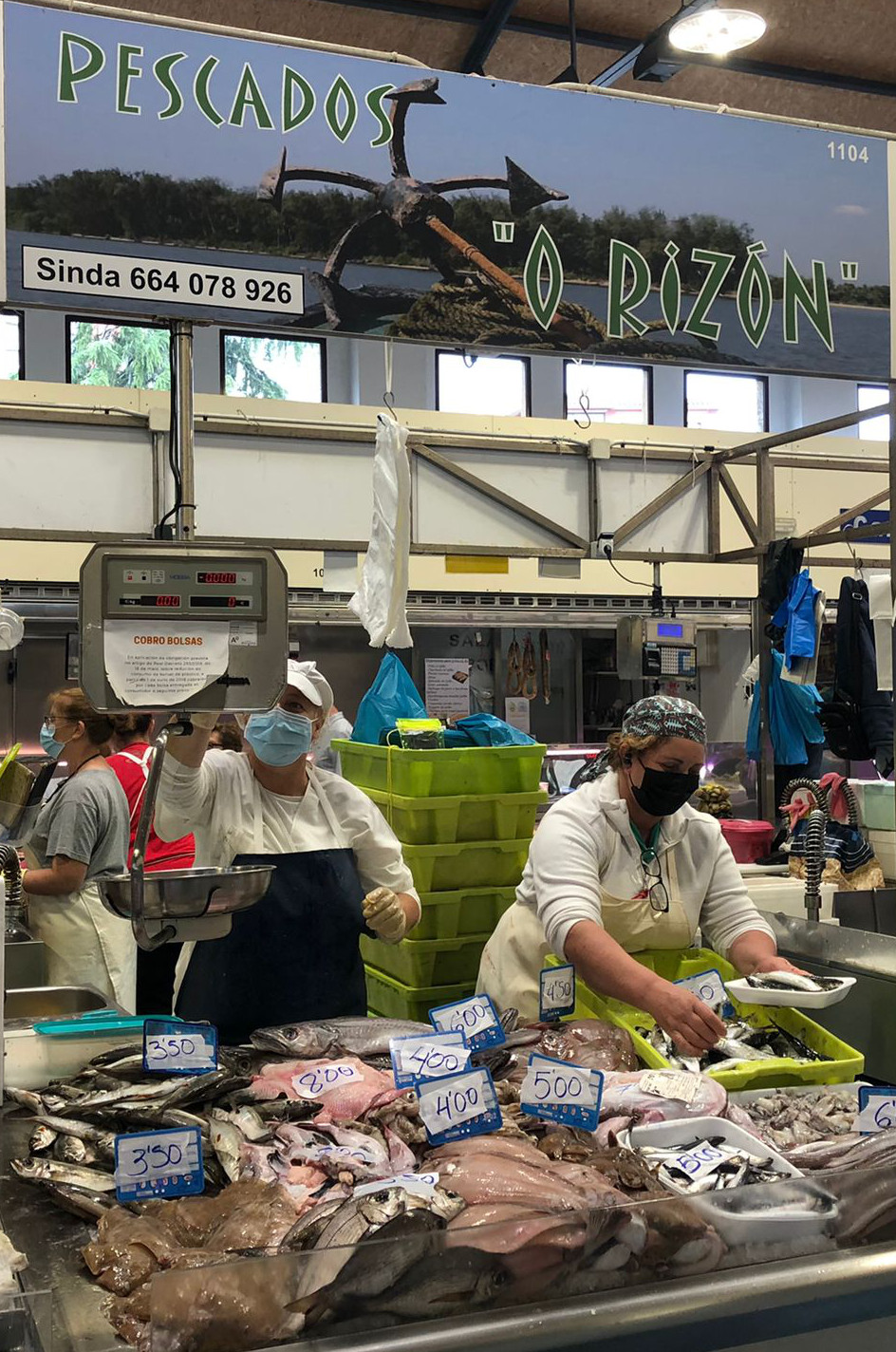 Pescados O Rizón