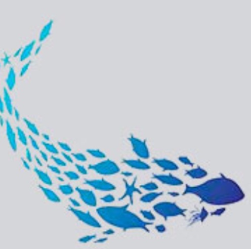 Logotipo O MEU PEIXIÑO Logotipo O MEU PEIXIÑO