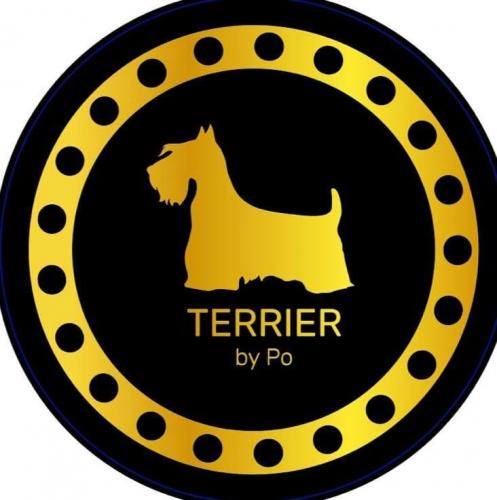 TERRIER by PO