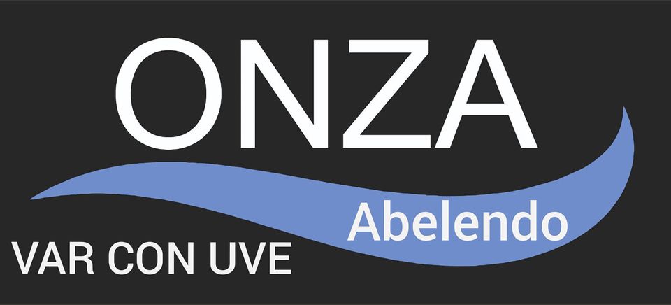 Logotipo VAR CON UVE Logotipo VAR CON UVE